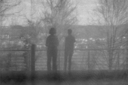 Ausblick Rolandseck